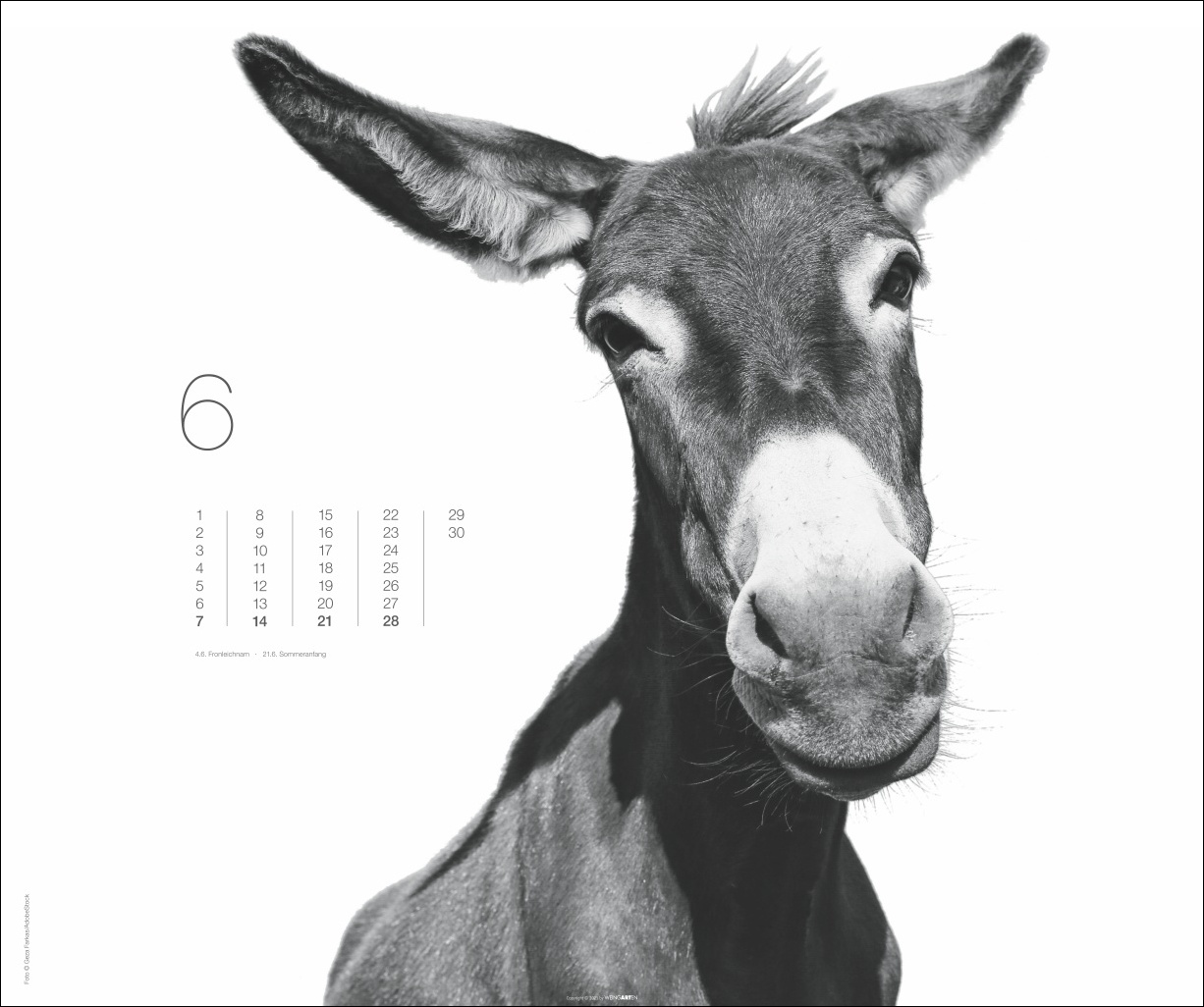 9783839902776_innenansicht_06 9783839902776_innenansicht_06.jpg