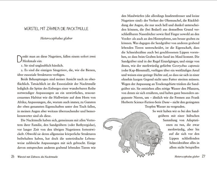 9783809441564_innenansicht_02 9783809441564_innenansicht_02.jpg