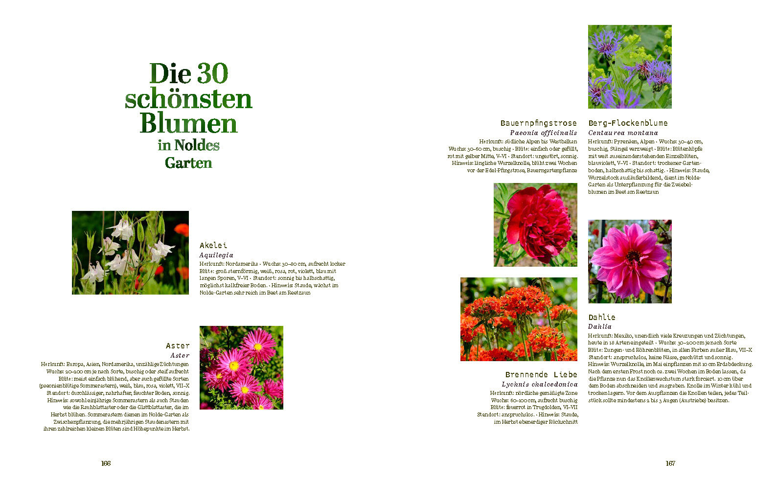 9783791377773_innenansicht_09 9783791377773_innenansicht_09.jpg