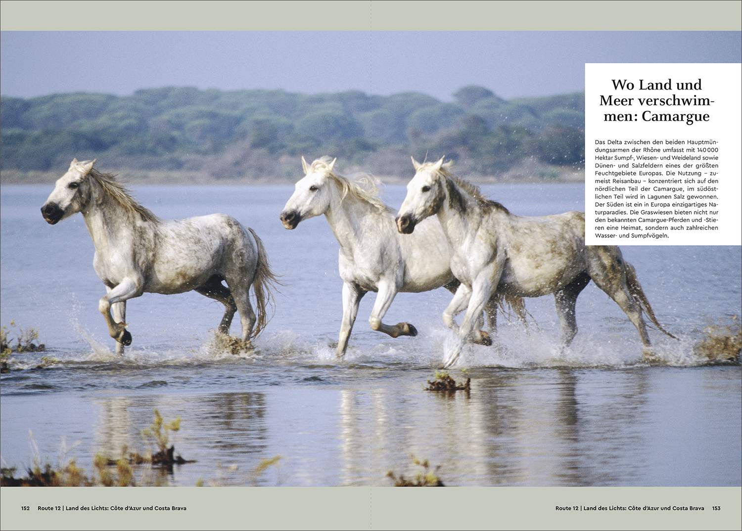 9783969651520_innenansicht_05 9783969651520_innenansicht_05.jpg