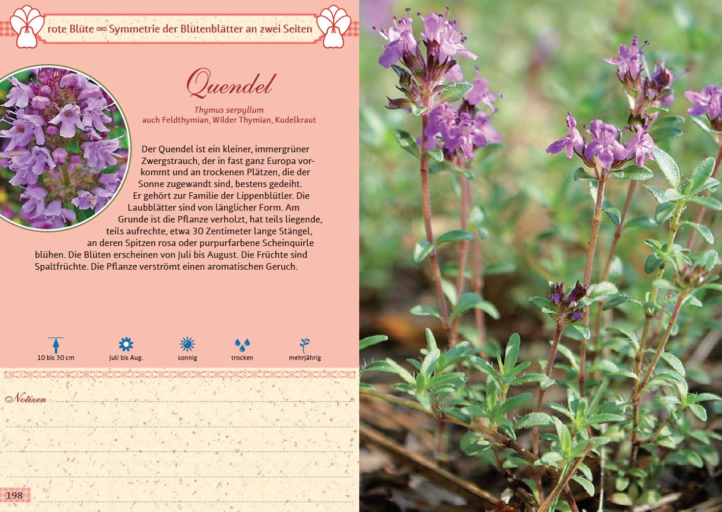 9783809446231_innenansicht_03 9783809446231_innenansicht_03.jpg