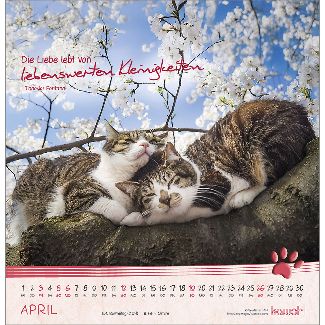 9783754829868_innenansicht_04.jpg