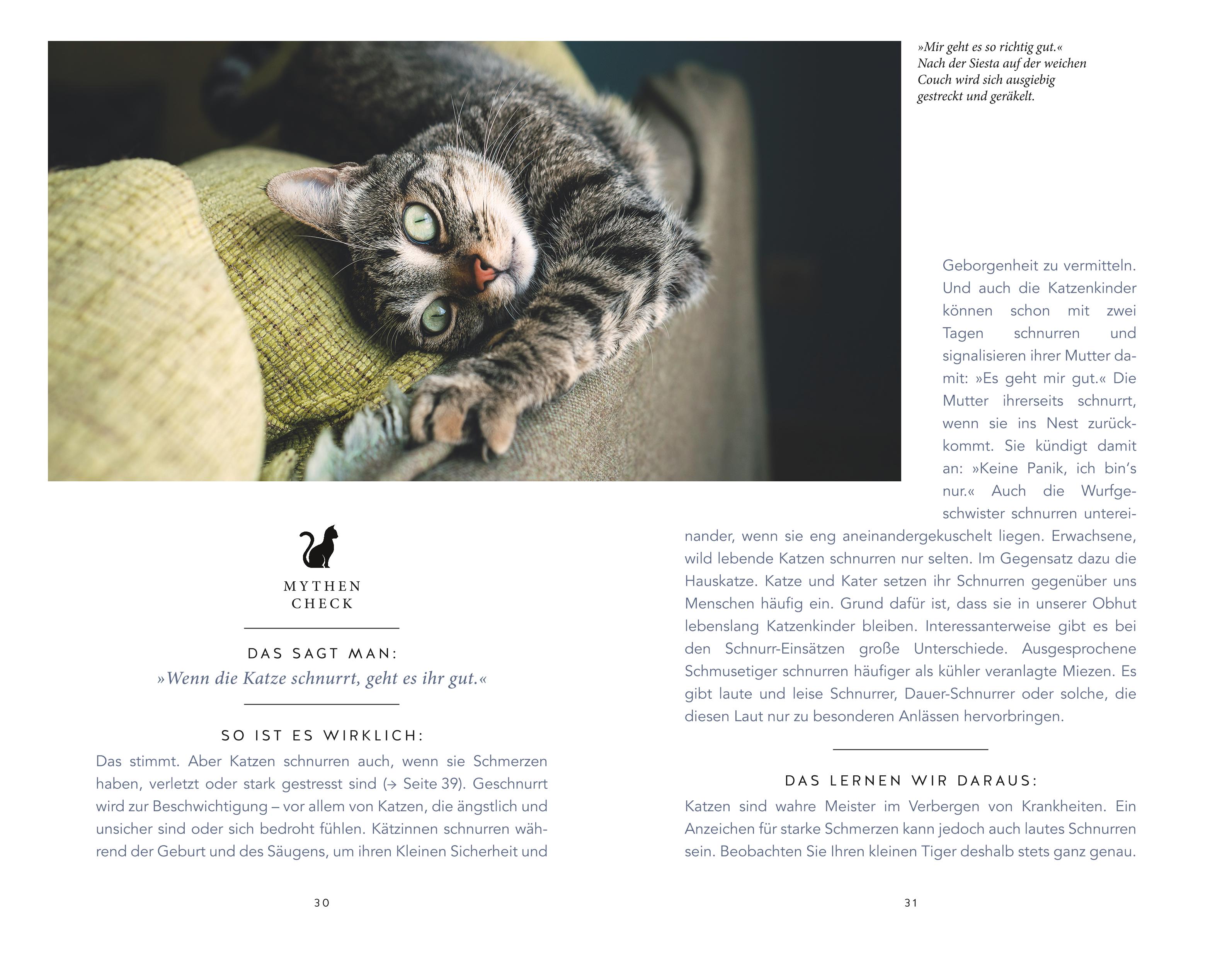 9783833871252_innenansicht_07 9783833871252_innenansicht_07.jpg