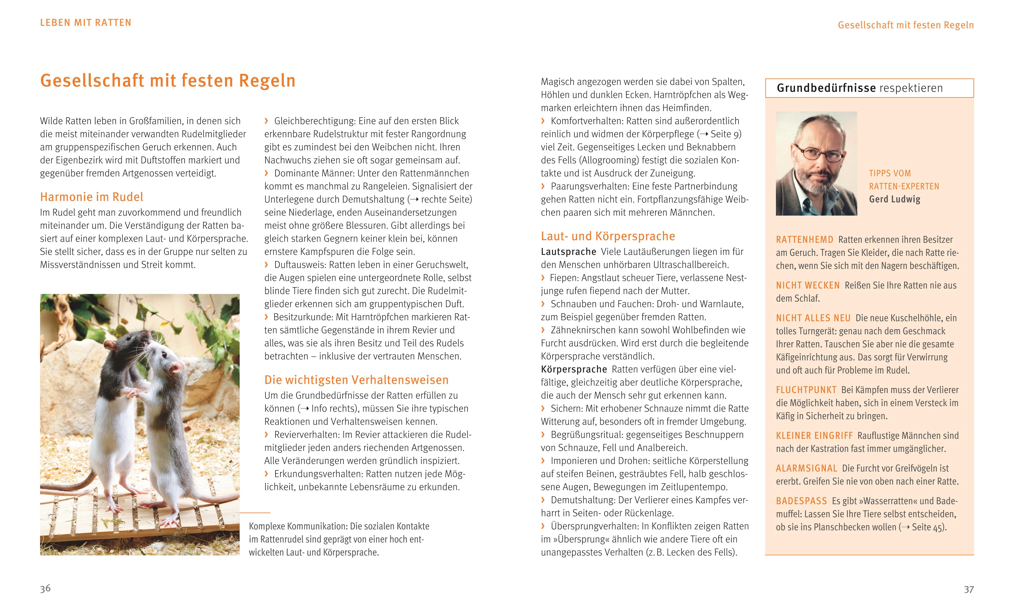 9783833855078_innenansicht_06 9783833855078_innenansicht_06.jpg