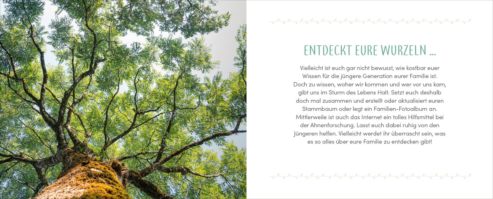 9783845860015_innenansicht_06.jpg