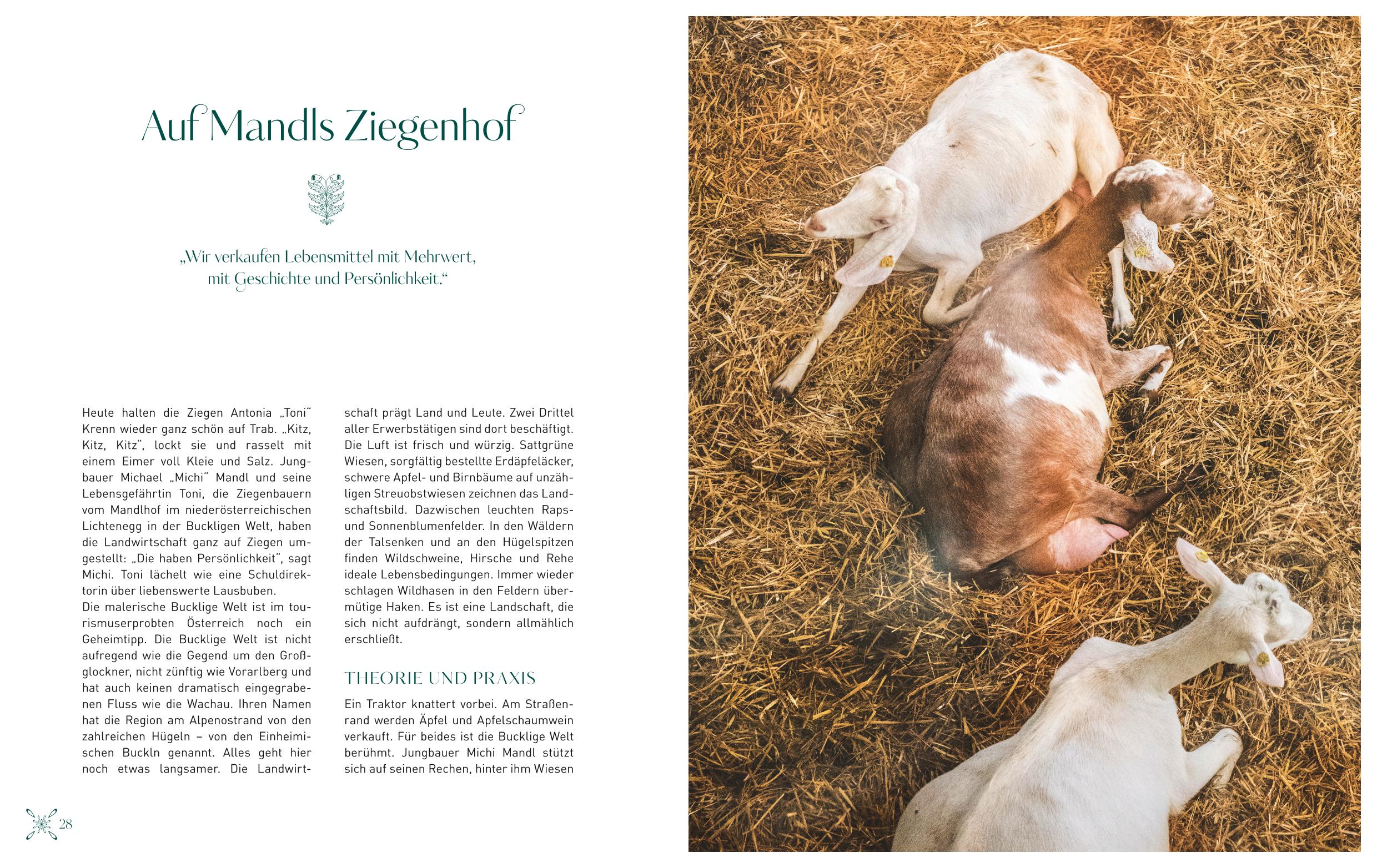 9783833865213_innenansicht_03 9783833865213_innenansicht_03.jpg