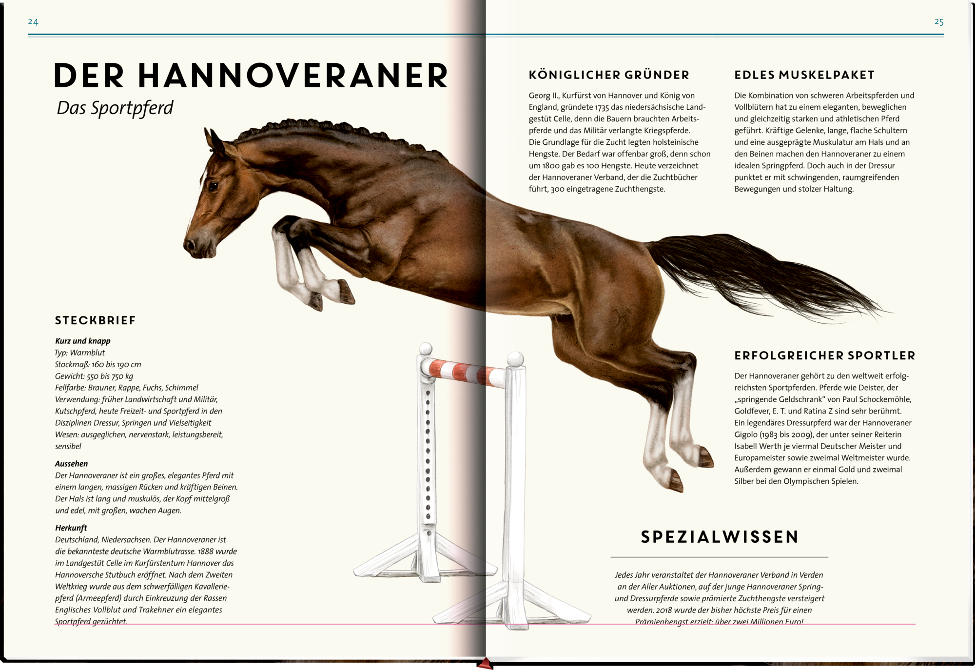 9783649646495_innenansicht_08 9783649646495_innenansicht_08.jpg