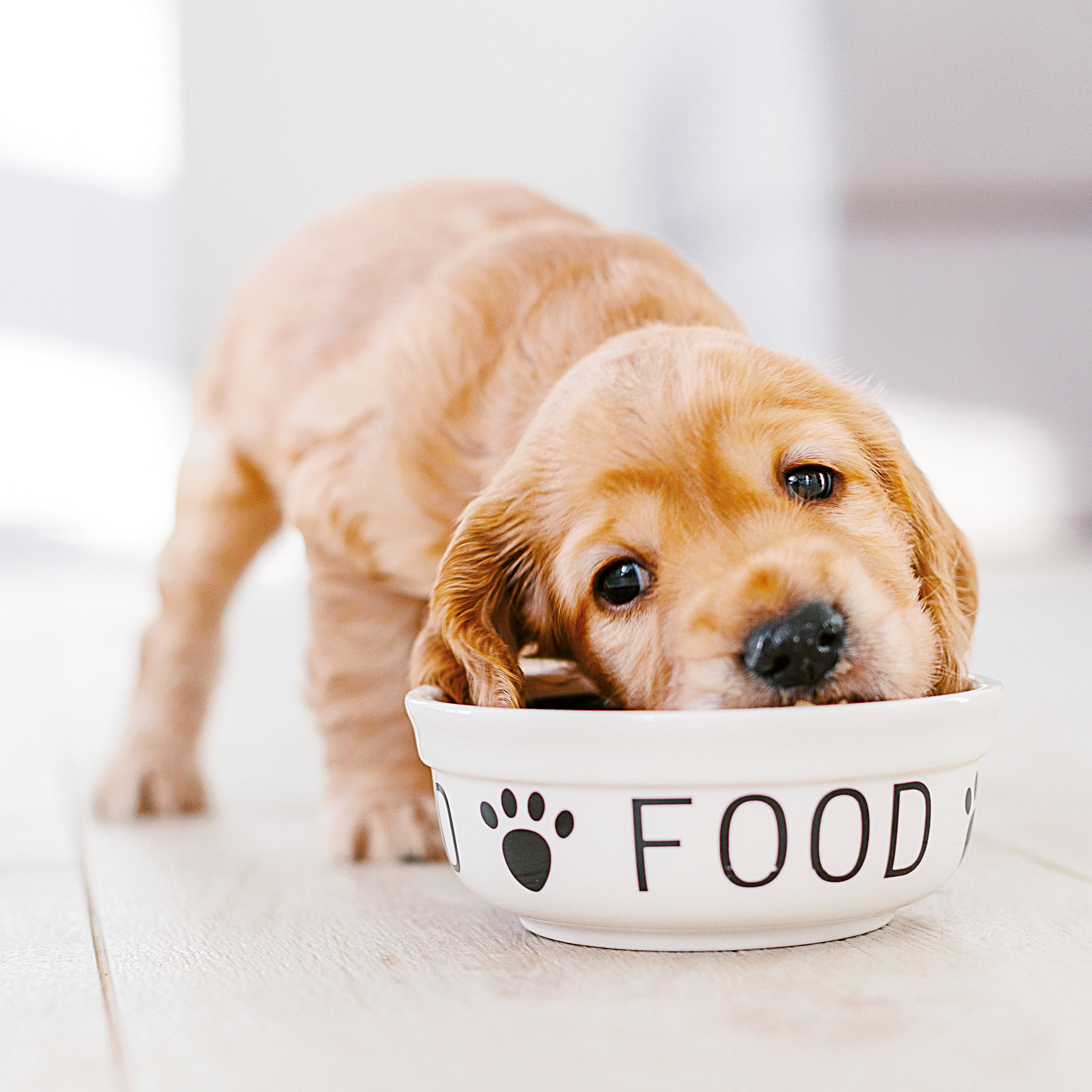 9783959295888_innenansicht_07 9783959295888_innenansicht_07.jpg