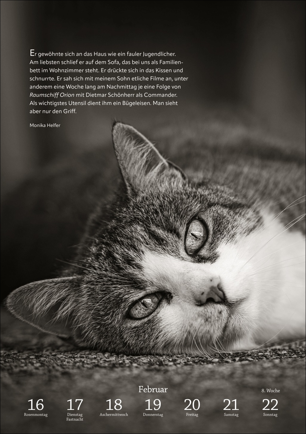 9783840036507_innenansicht_05 9783840036507_innenansicht_05.jpg