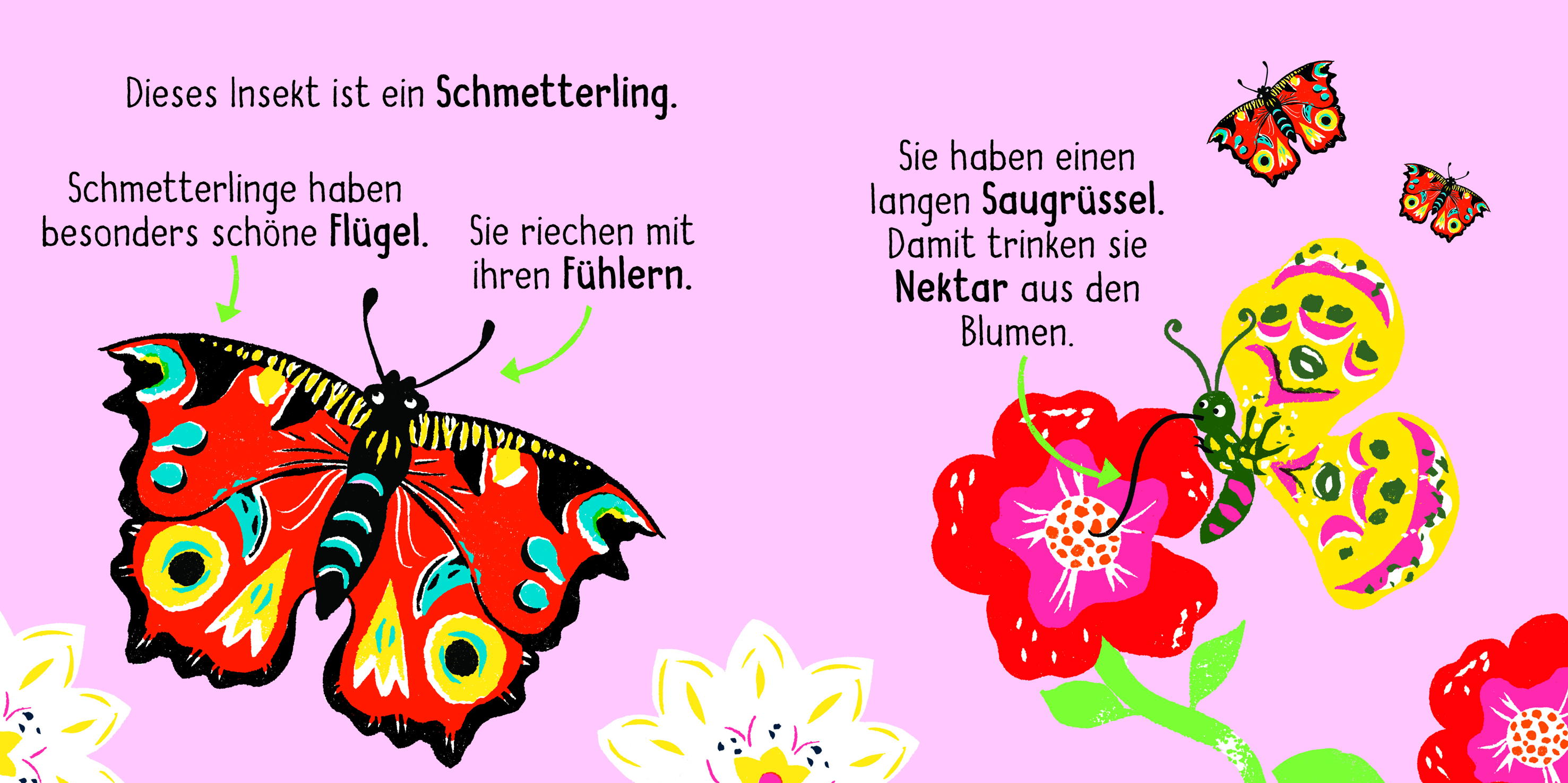 9783411722280_innenansicht_02.jpg