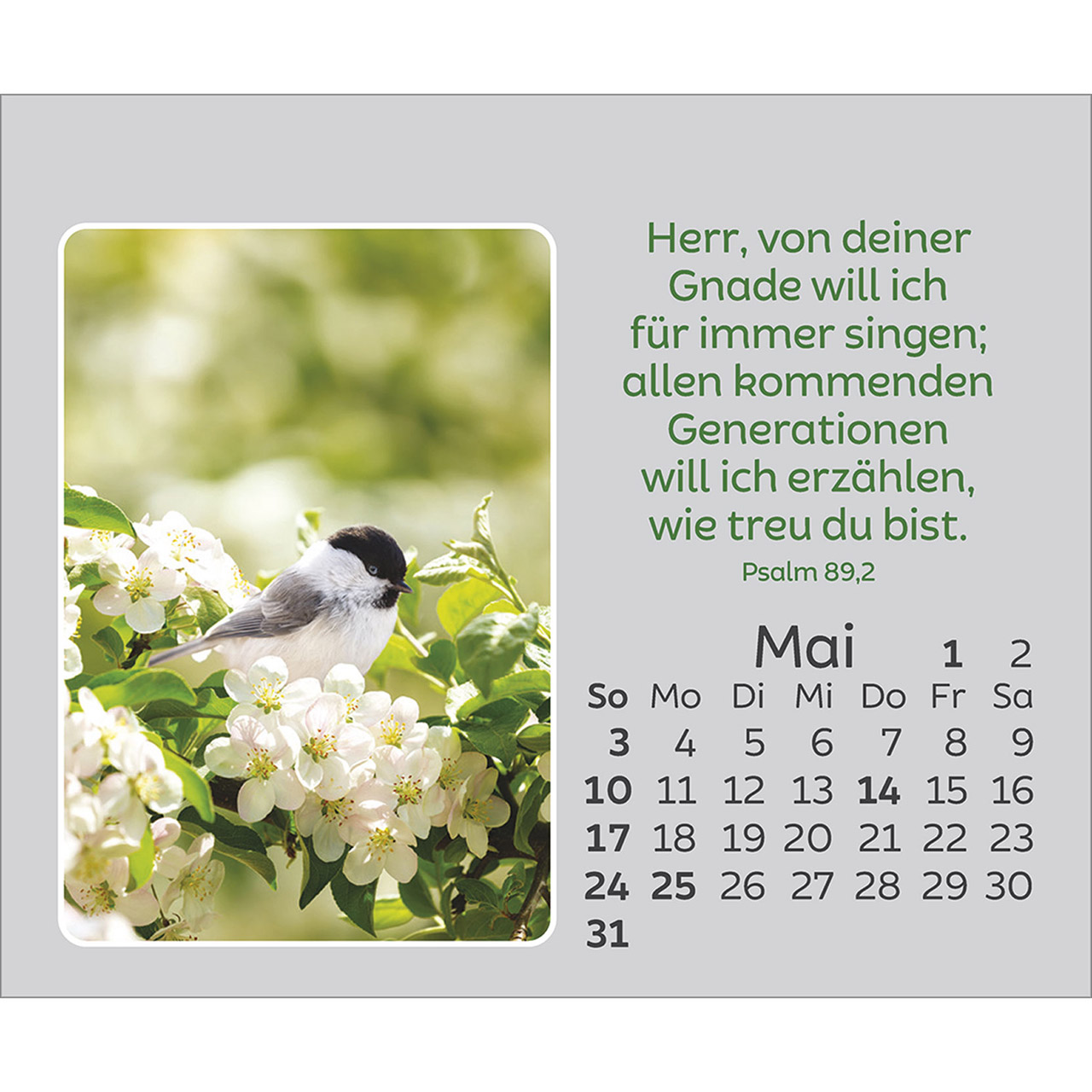 9783754861066_innenansicht_05.jpg
