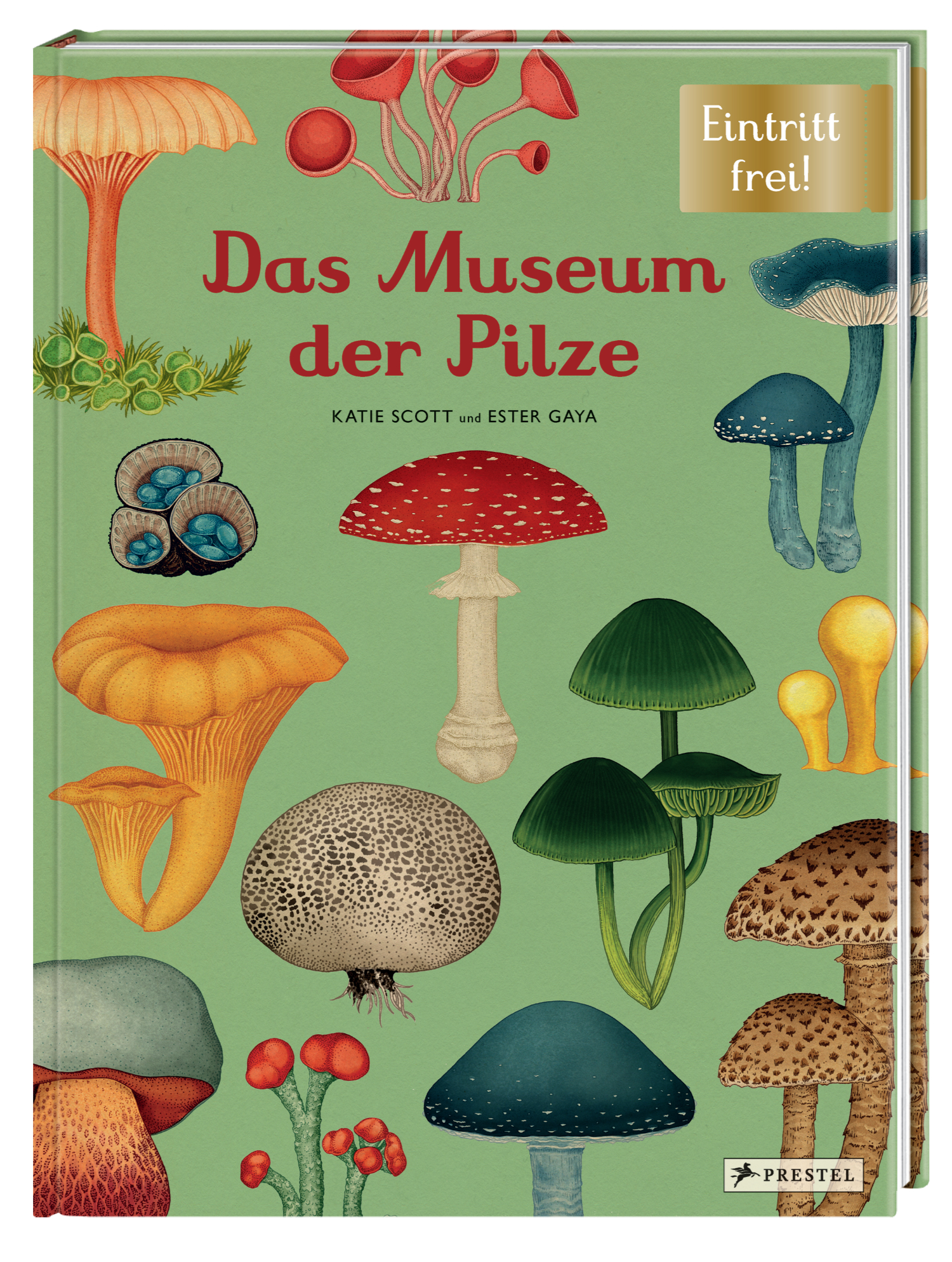 9783791374529_innenansicht_05.jpg