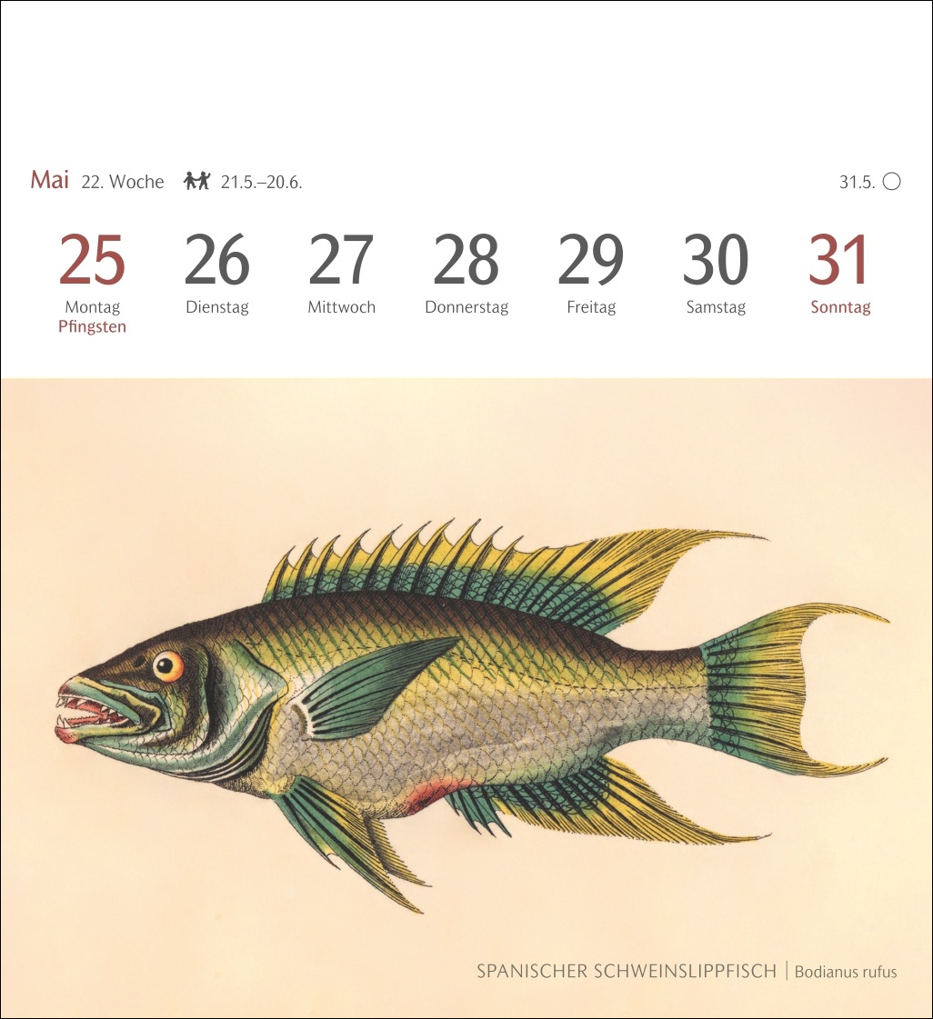 9783840037917_innenansicht_03 9783840037917_innenansicht_03.jpg