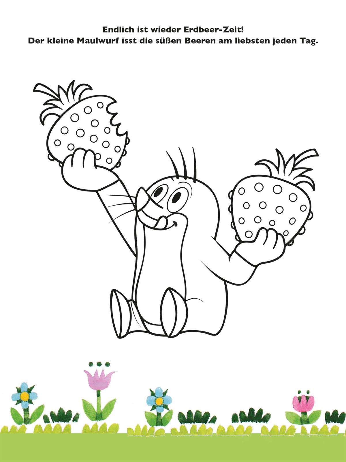 9783845129259_innenansicht_05.jpg