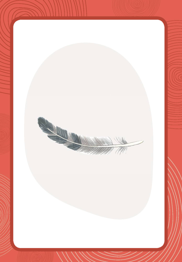 4260694920312_innenansicht_03.jpg 4260694920312_innenansicht_03.jpg