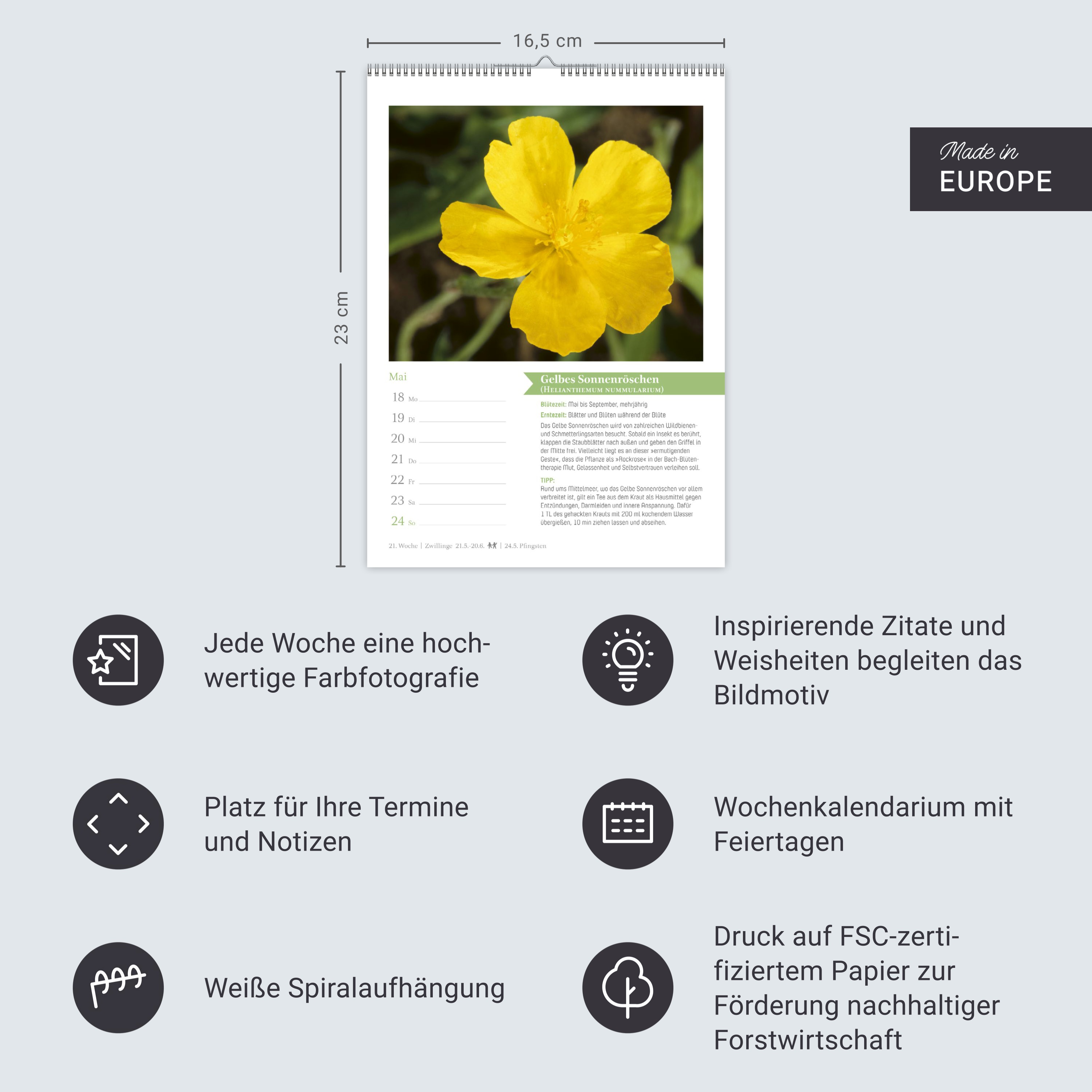 9783840037429_innenansicht_14.jpg