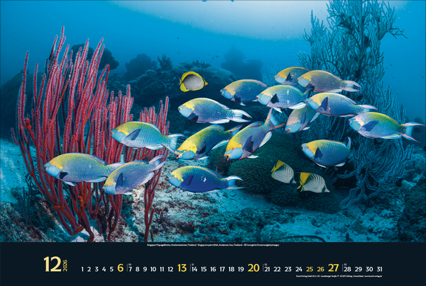 9783731888161_innenansicht_12 9783731888161_innenansicht_12.jpg