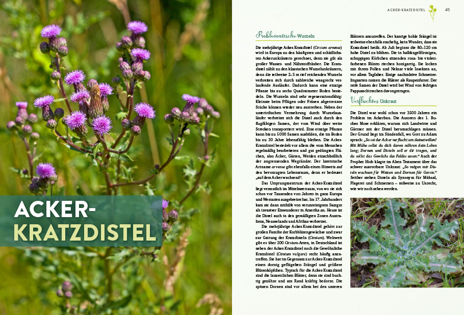 9783818620400_innenansicht_05 9783818620400_innenansicht_05.jpg