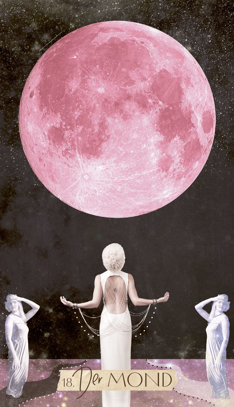 4250939900056_innenansicht_06 4250939900056_innenansicht_06.jpg