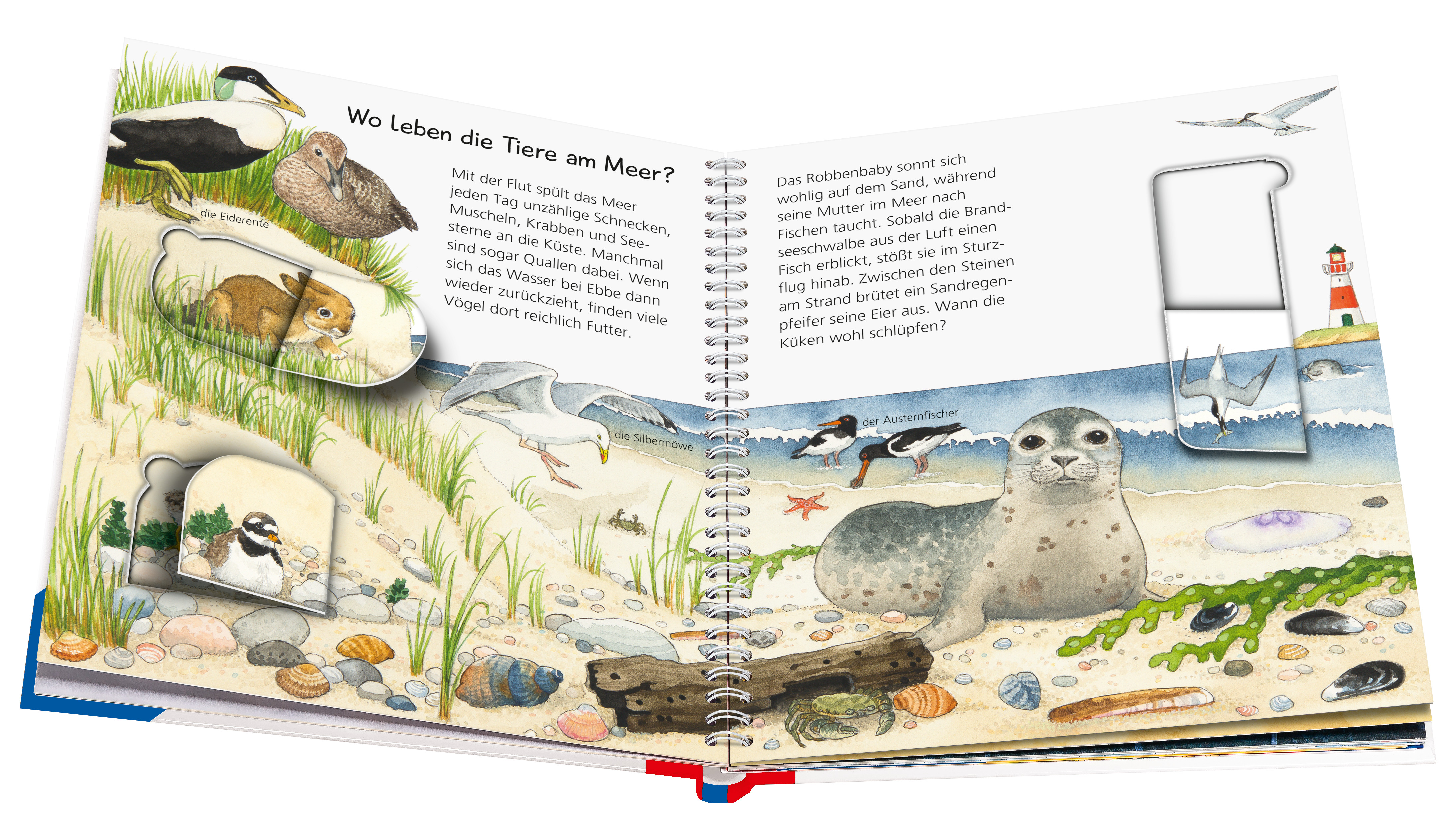 9783473600052_innenansicht_03 9783473600052_innenansicht_03.jpg