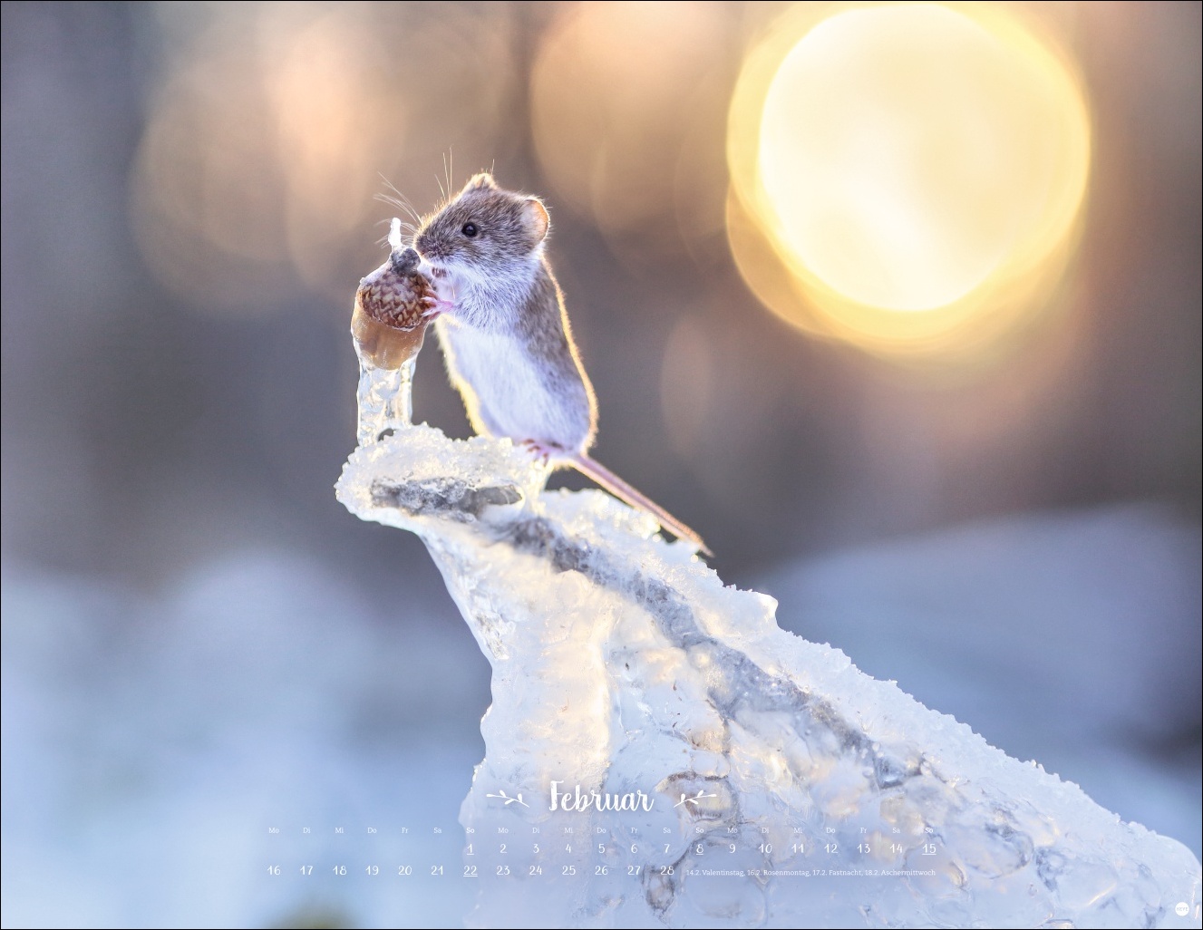 9783756411672_innenansicht_02 9783756411672_innenansicht_02.jpg