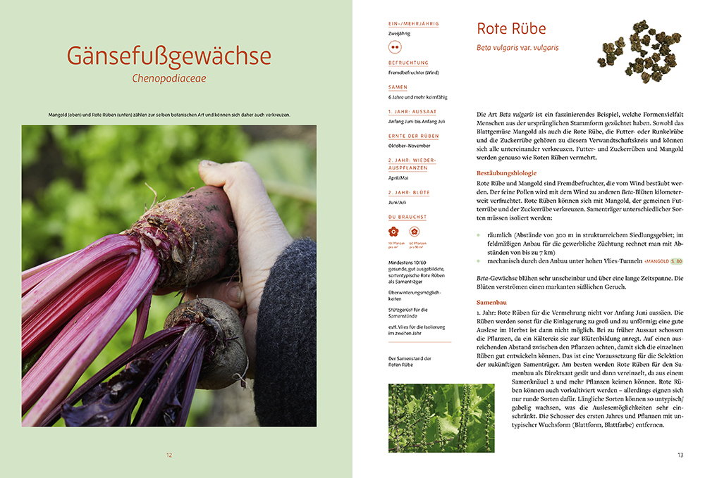 9783706629997_innenansicht_06 9783706629997_innenansicht_06.jpg