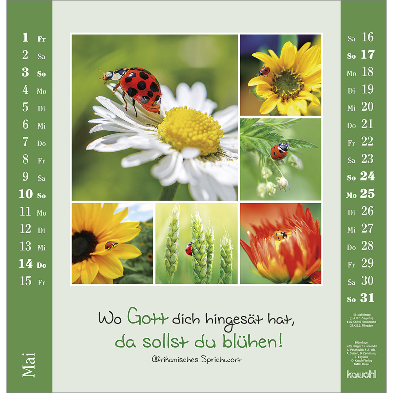 9783754829967_innenansicht_05.jpg