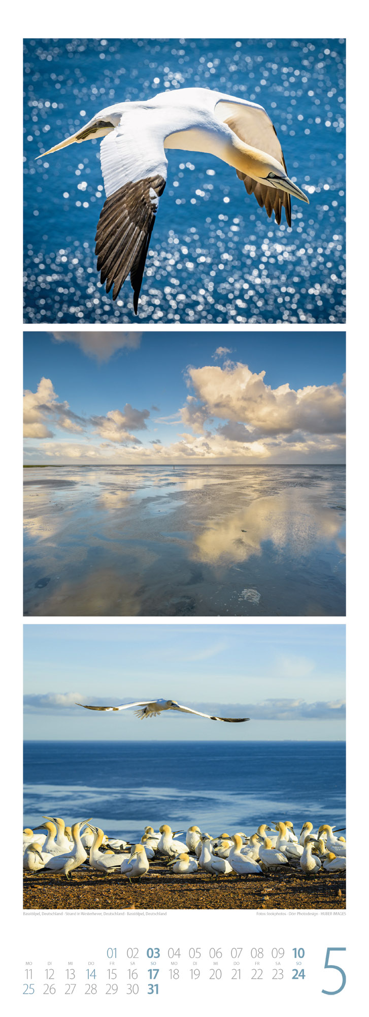 9783838426488_innenansicht_05 9783838426488_innenansicht_05.jpg