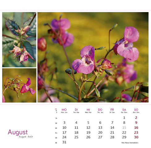 9783861925163_innenansicht_08 9783861925163_innenansicht_08.jpg