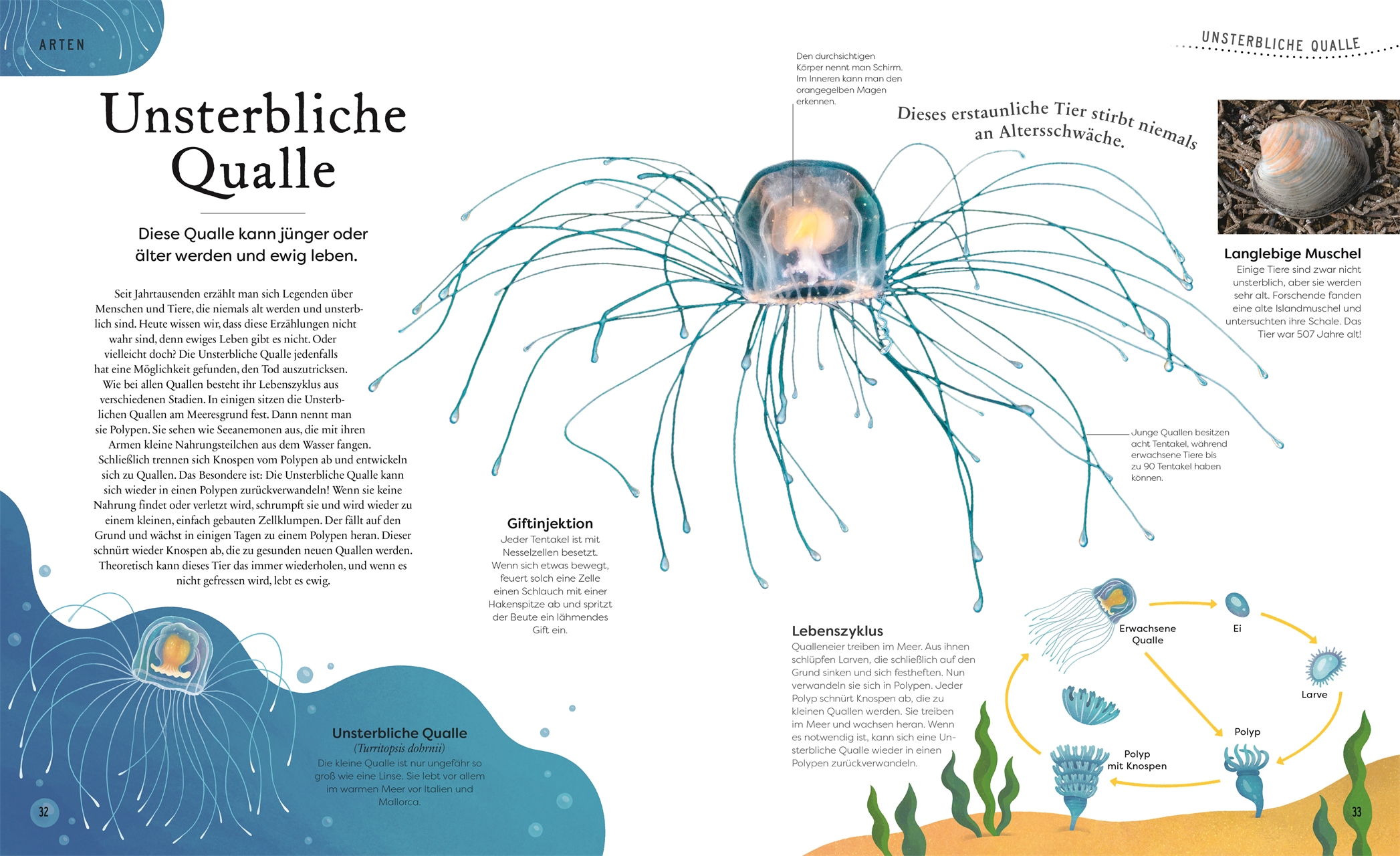 9783831049127_innenansicht_04 9783831049127_innenansicht_04.jpg