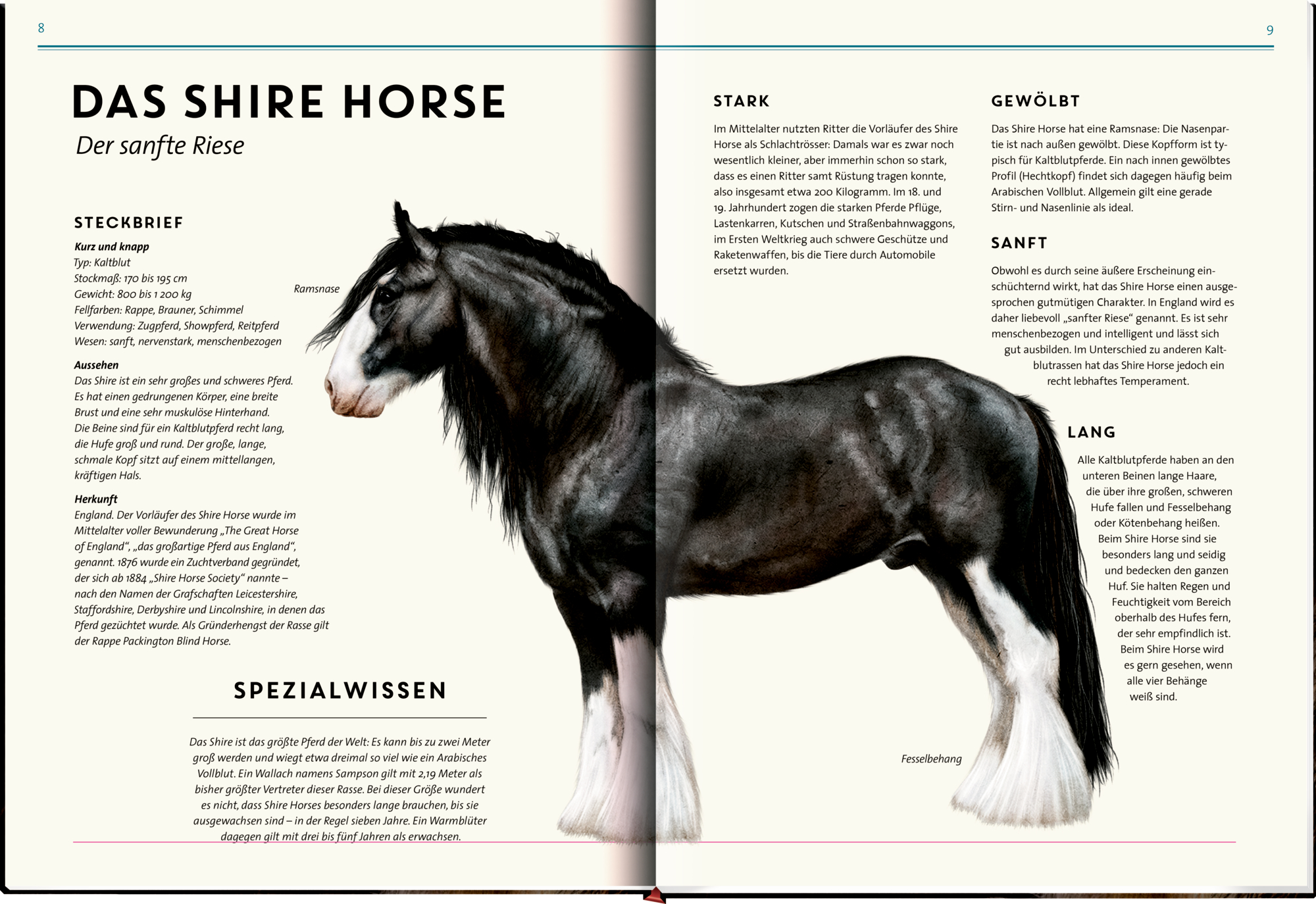 9783649646495_innenansicht_10 9783649646495_innenansicht_10.jpg