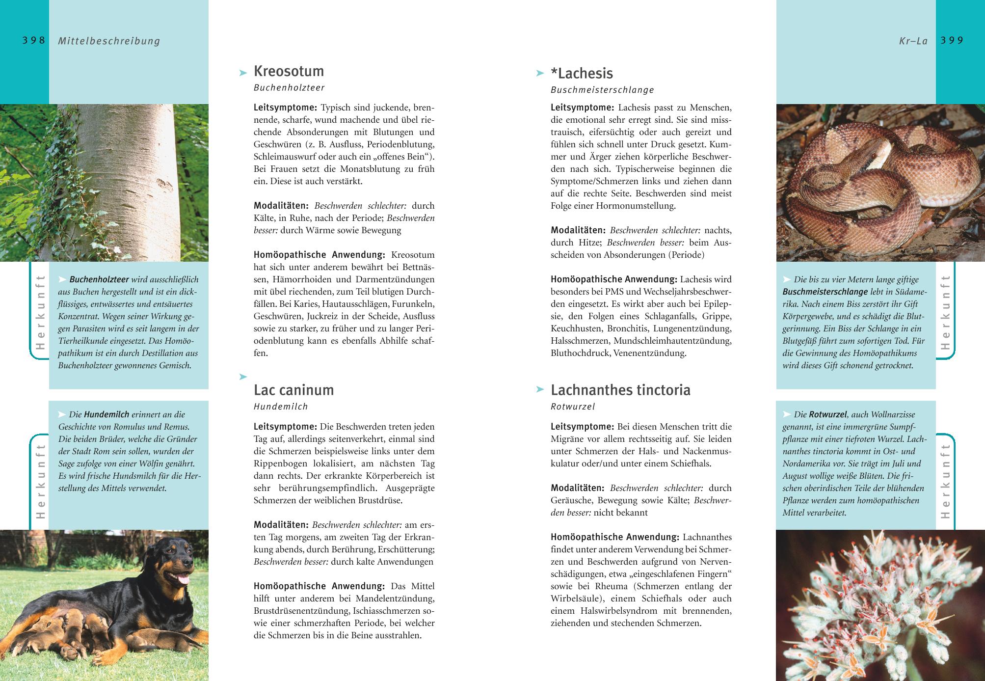 9783833800344_innenansicht_08 9783833800344_innenansicht_08.jpg