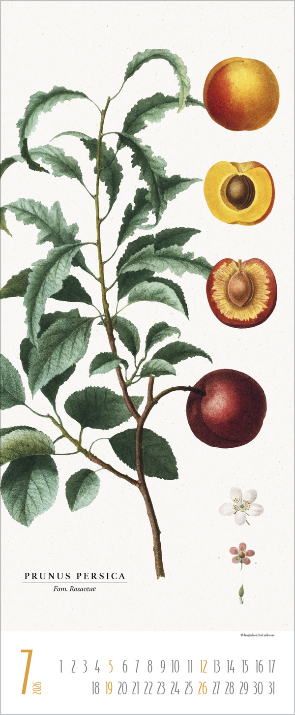 9783731887959_innenansicht_07.jpg