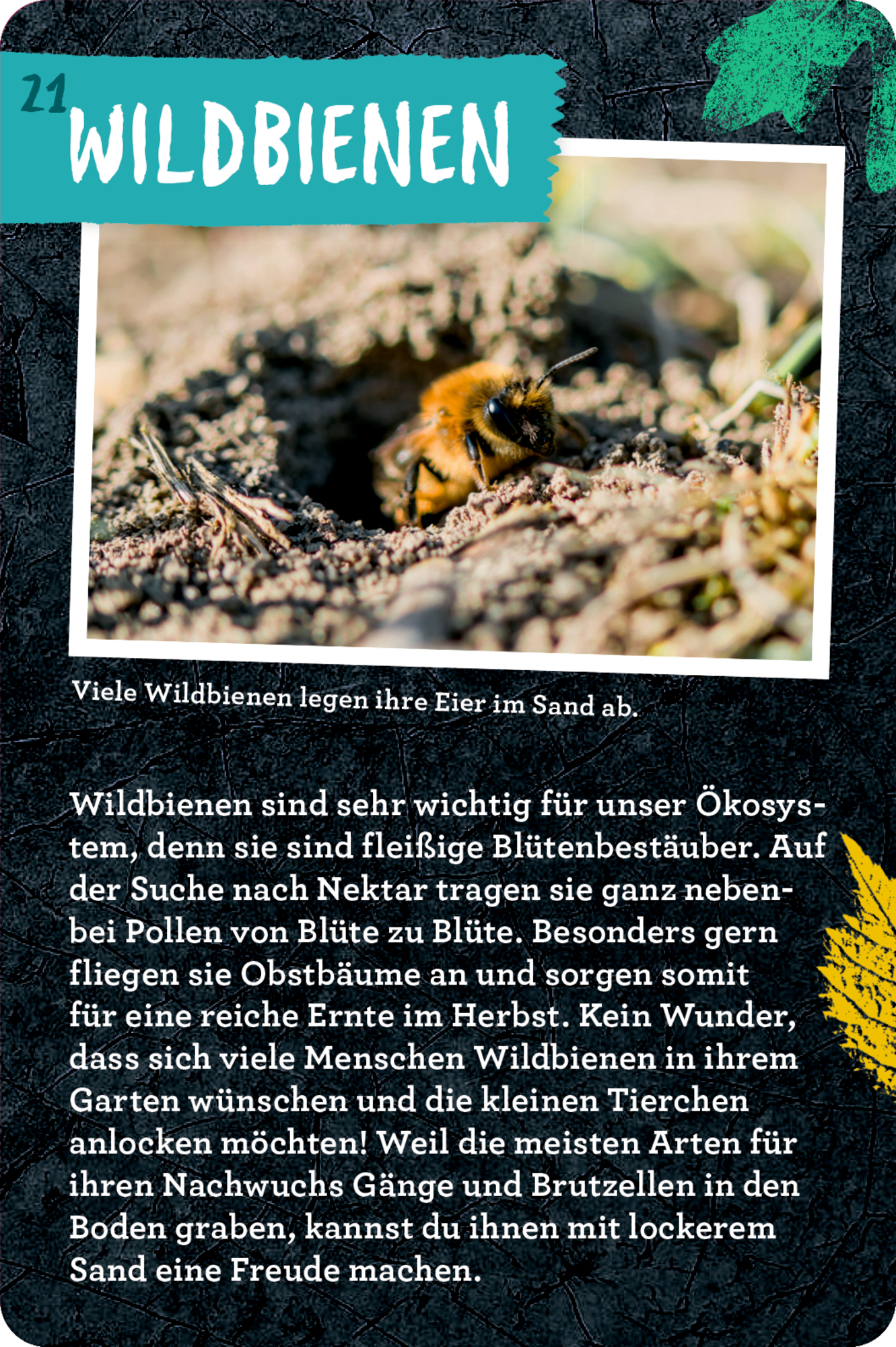 9783649647935_innenansicht_05 9783649647935_innenansicht_05.jpg