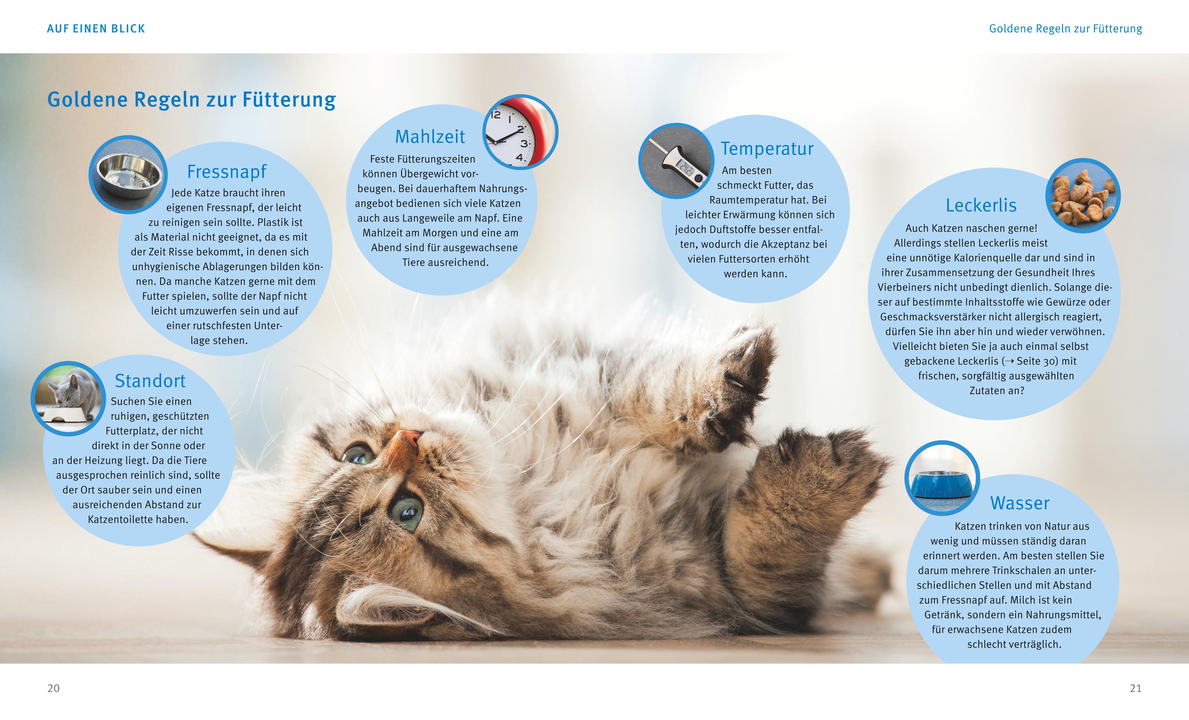 9783833852206_innenansicht_03 9783833852206_innenansicht_03.jpg