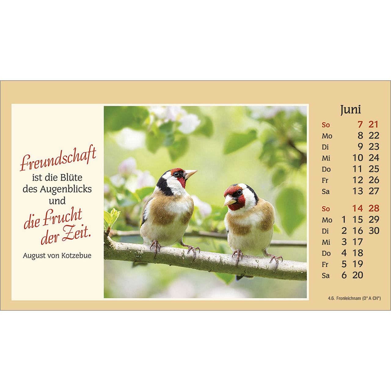 9783754882061_innenansicht_06 9783754882061_innenansicht_06.jpg