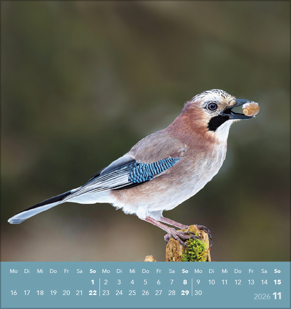 9783731890225_innenansicht_11 9783731890225_innenansicht_11.jpg