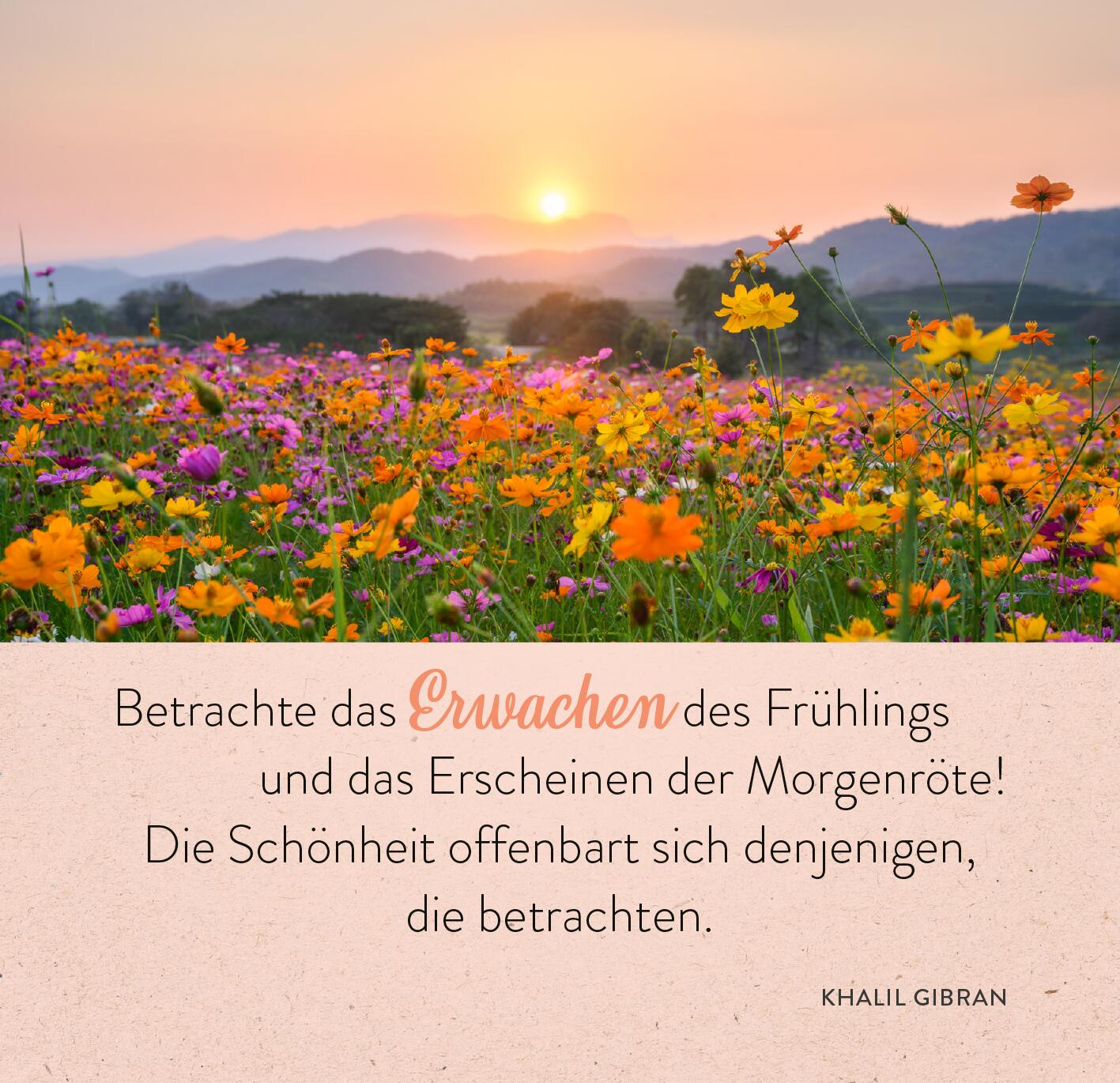 9783845862613_innenansicht_02.jpg