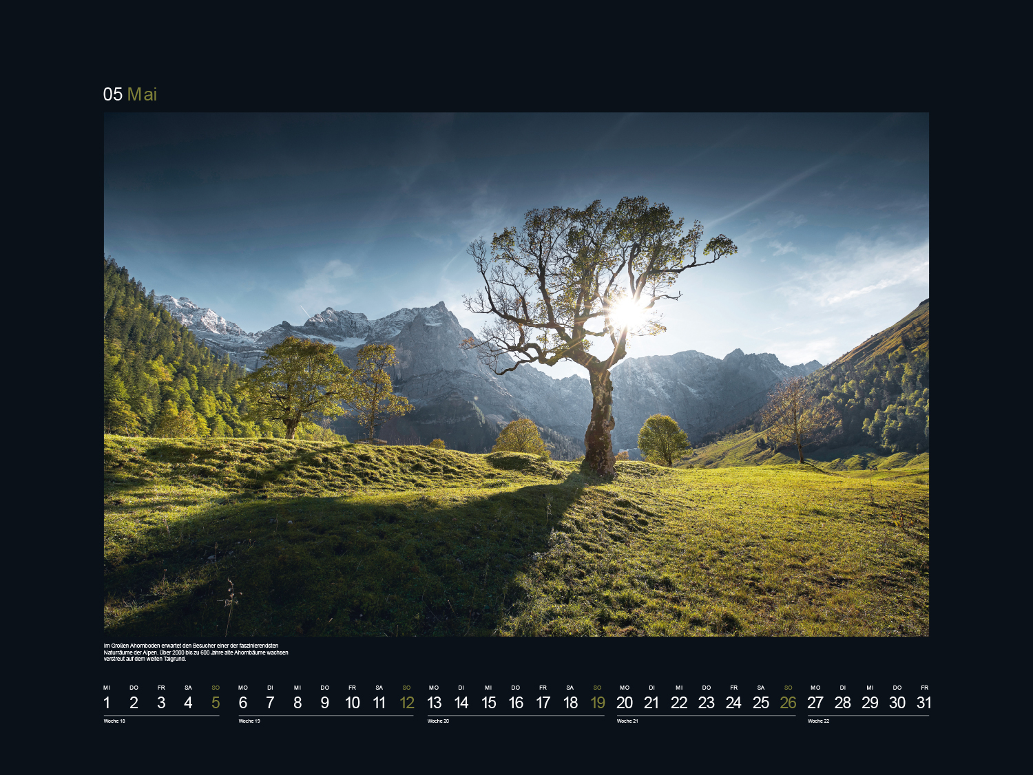 9783965912496_innenansicht_06 9783965912496_innenansicht_06.jpg