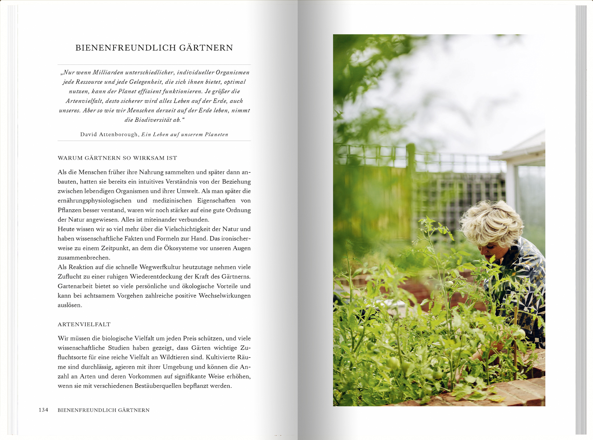 9783784357935_innenansicht_06 9783784357935_innenansicht_06.jpg