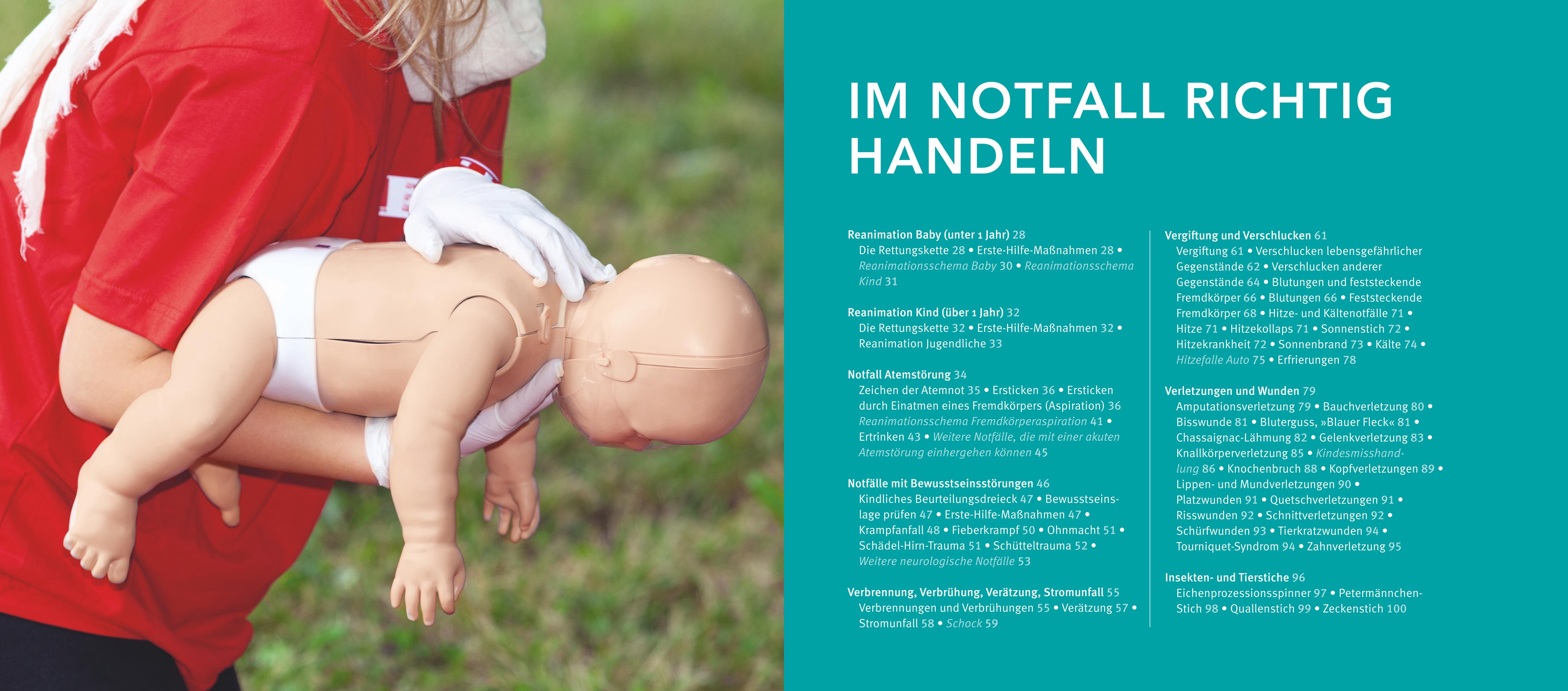 9783833894640_innenansicht_06.jpg