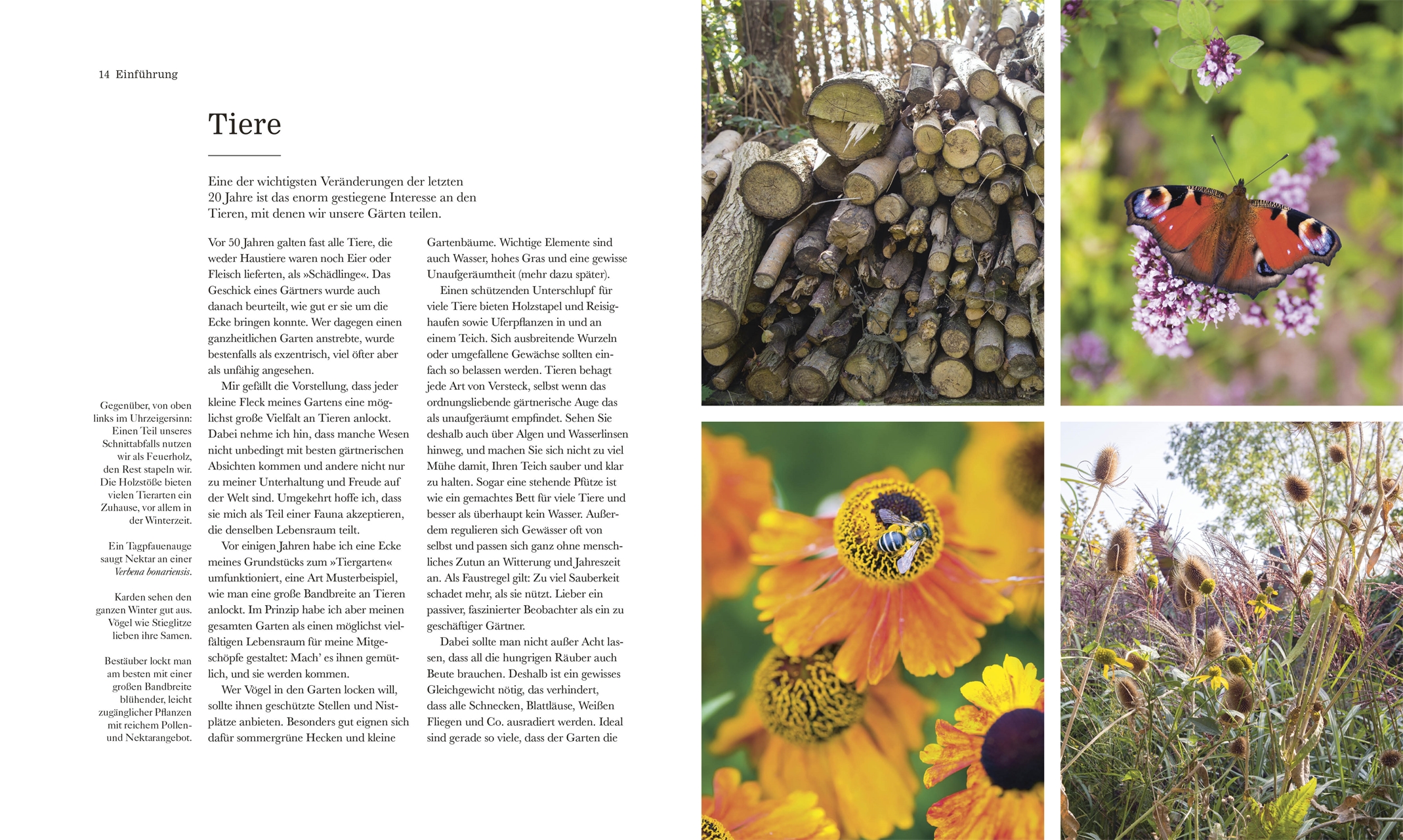 9783831043118_innenansicht_03 9783831043118_innenansicht_03.jpg