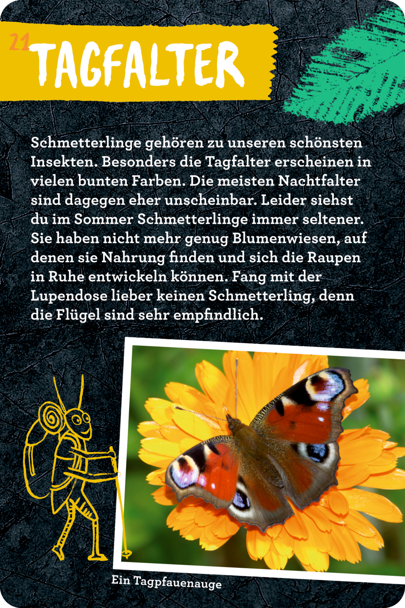 9783649647300_innenansicht_05.jpg