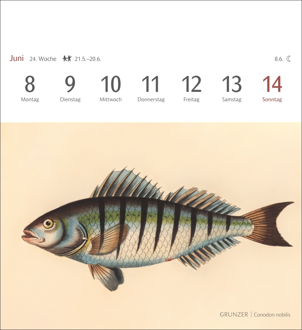 9783840037917_innenansicht_05 9783840037917_innenansicht_05.jpg