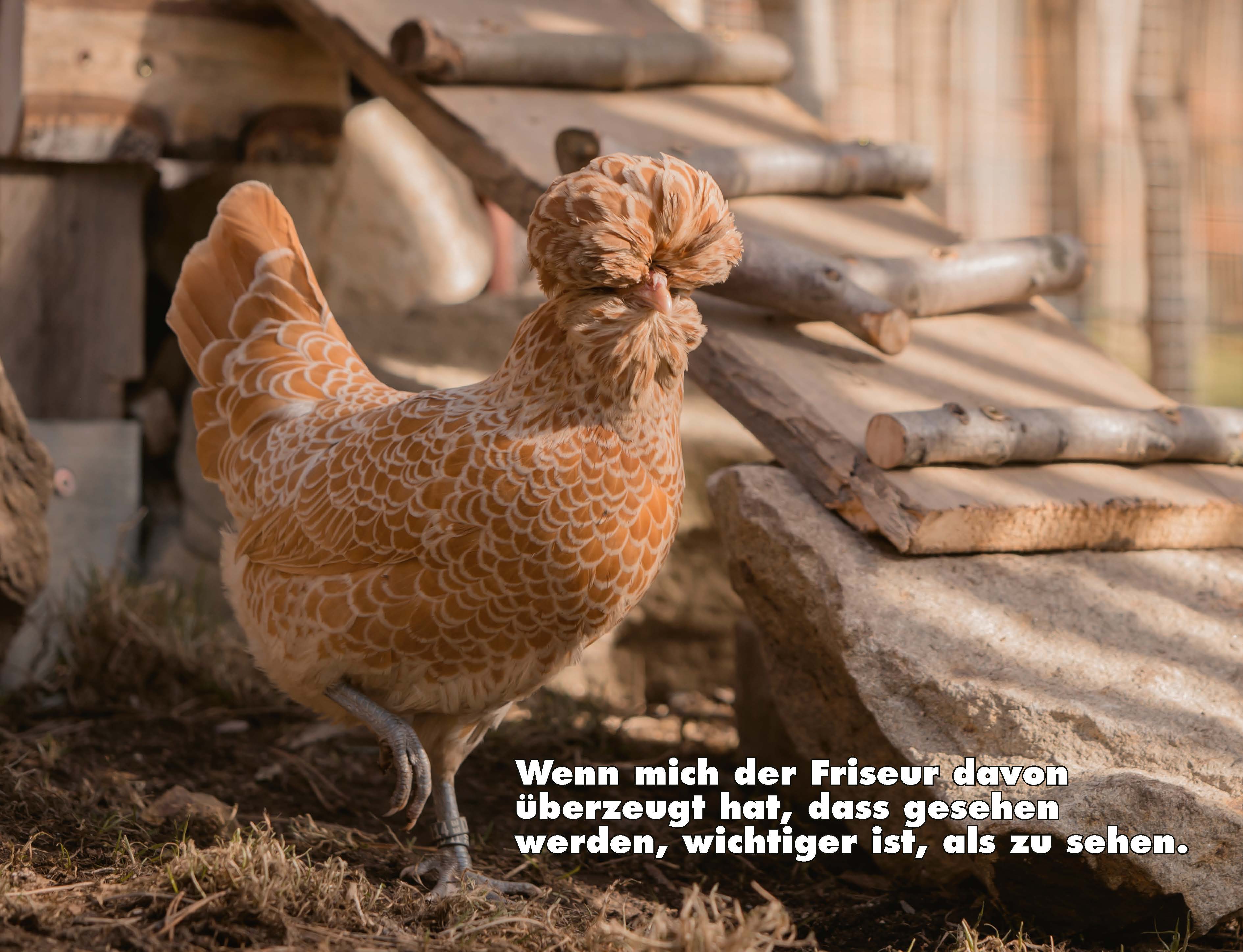 9783966649919_innenansicht_21.jpg