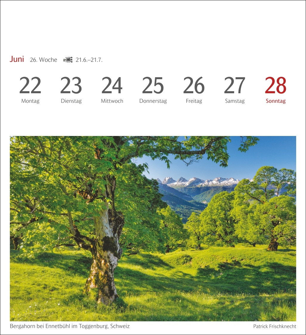 9783840035715_innenansicht_07.jpg