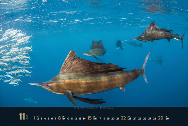 9783731888161_innenansicht_11 9783731888161_innenansicht_11.jpg