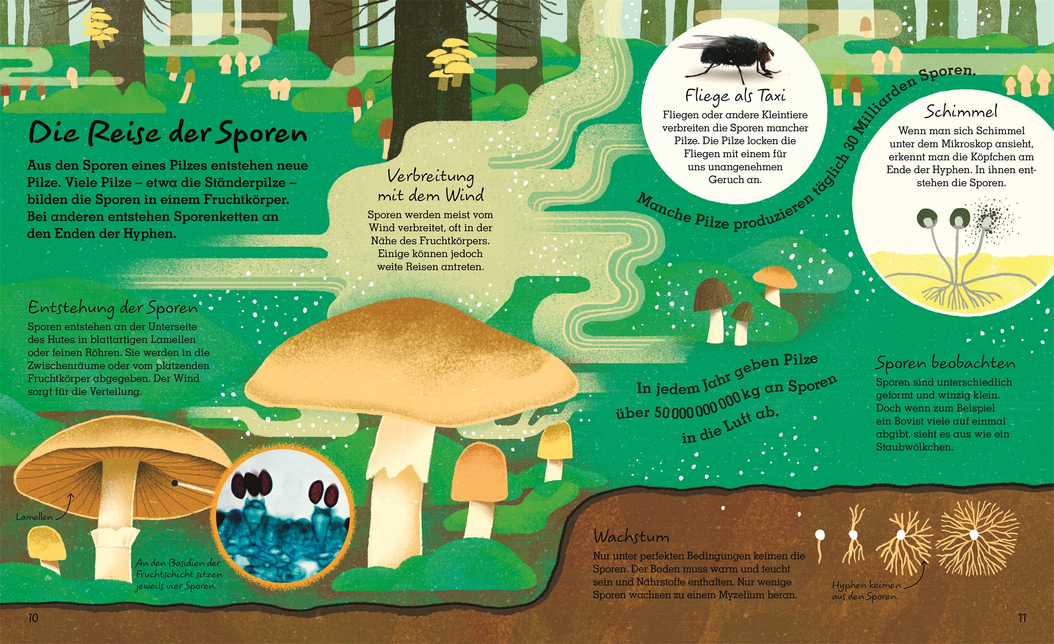 9783831044443_innenansicht_03 9783831044443_innenansicht_03.jpg