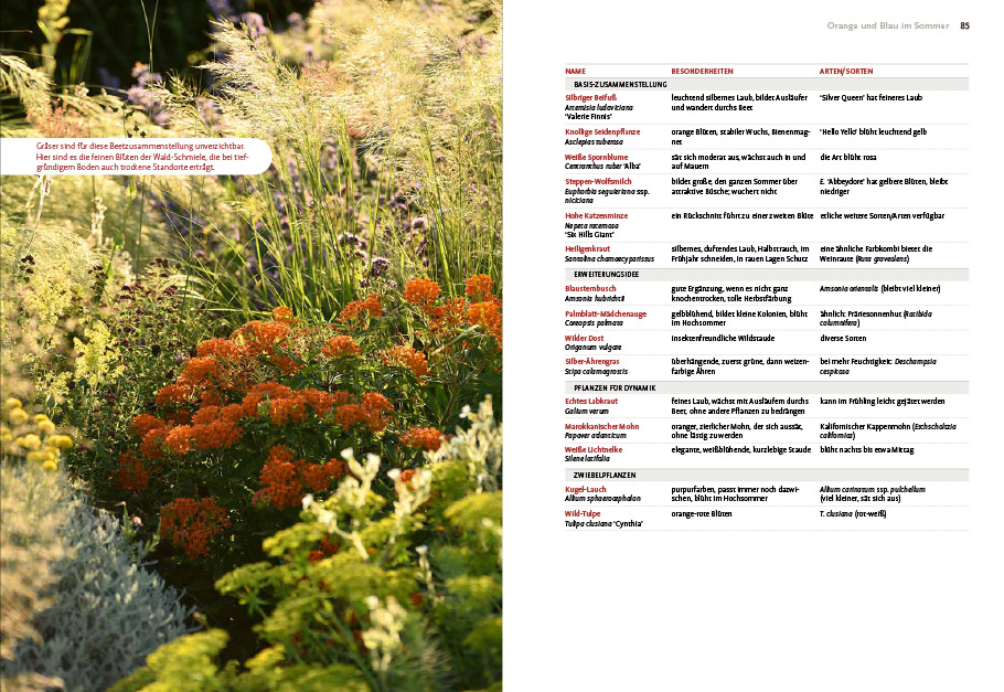 9783818617653_innenansicht_05 9783818617653_innenansicht_05.jpg