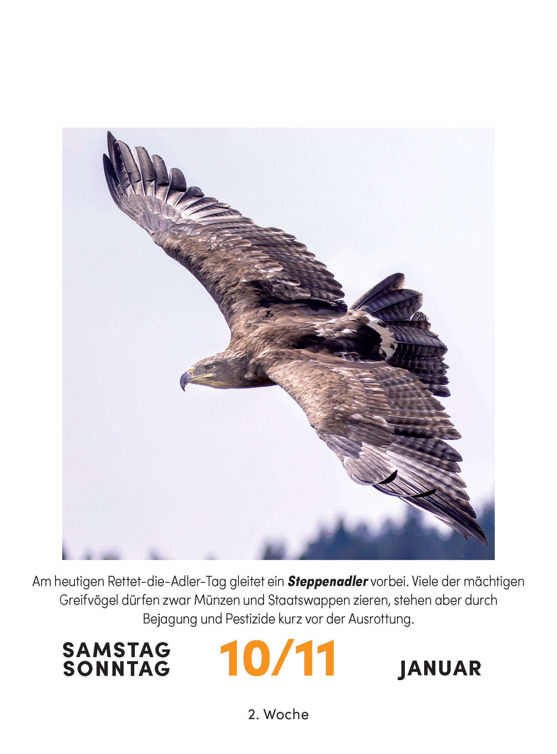 9783517103631_innenansicht_04 9783517103631_innenansicht_04.jpg